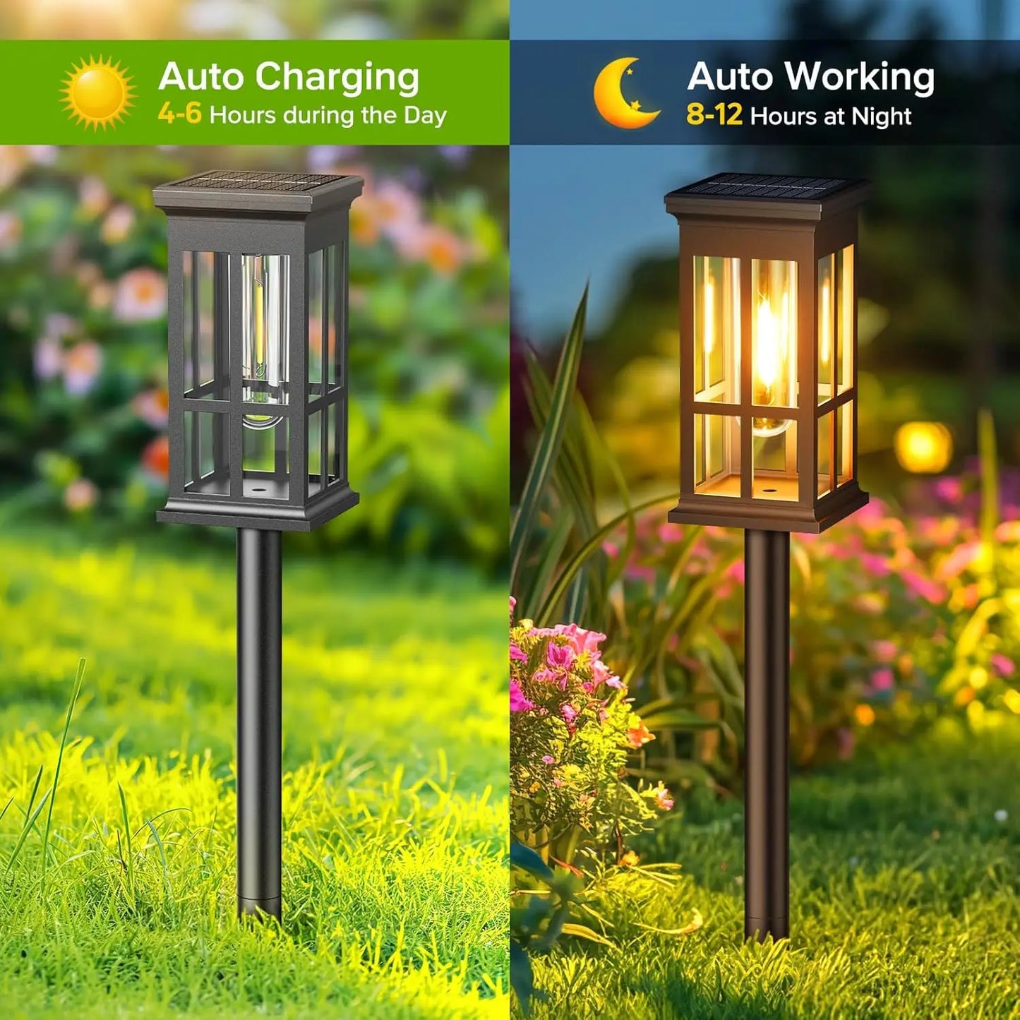 2/6/8 Pack Solar Pathway Lights - Super Bright Outdoor Solar Lights for Patio/Sidewalk