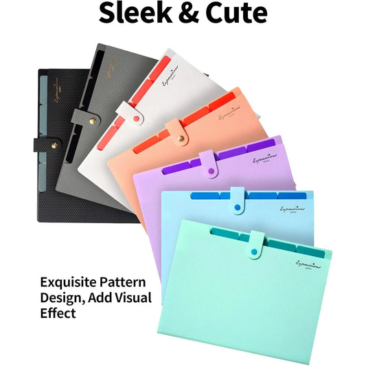 Expandable File Folder, with, 5 File Pockets,